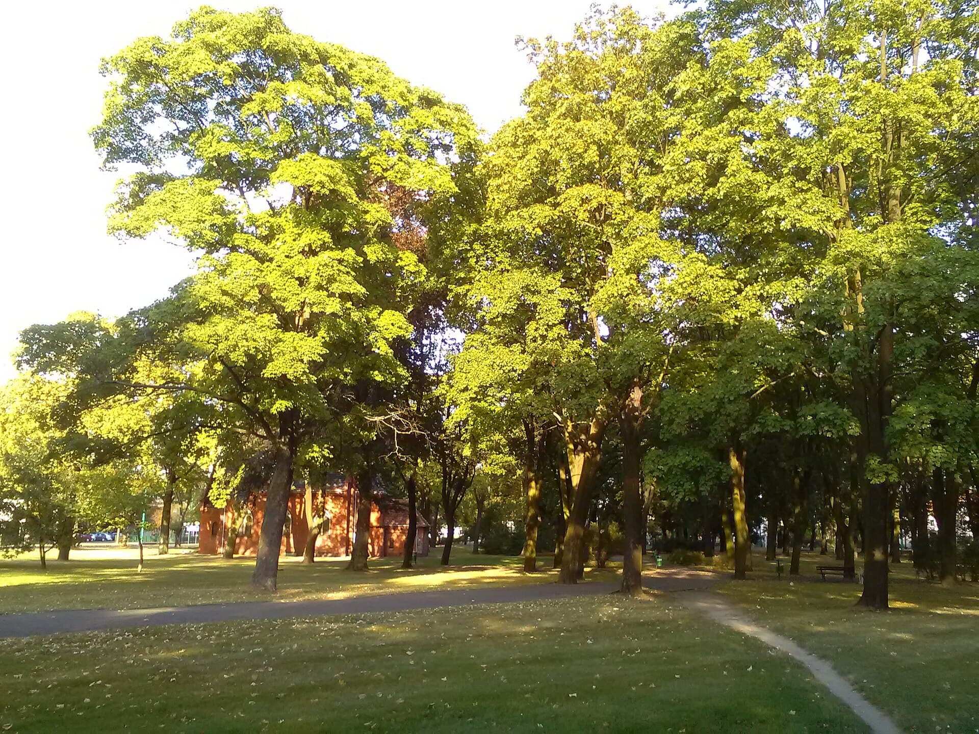 Park Gustawa Manitiusa na Grunwaldzie